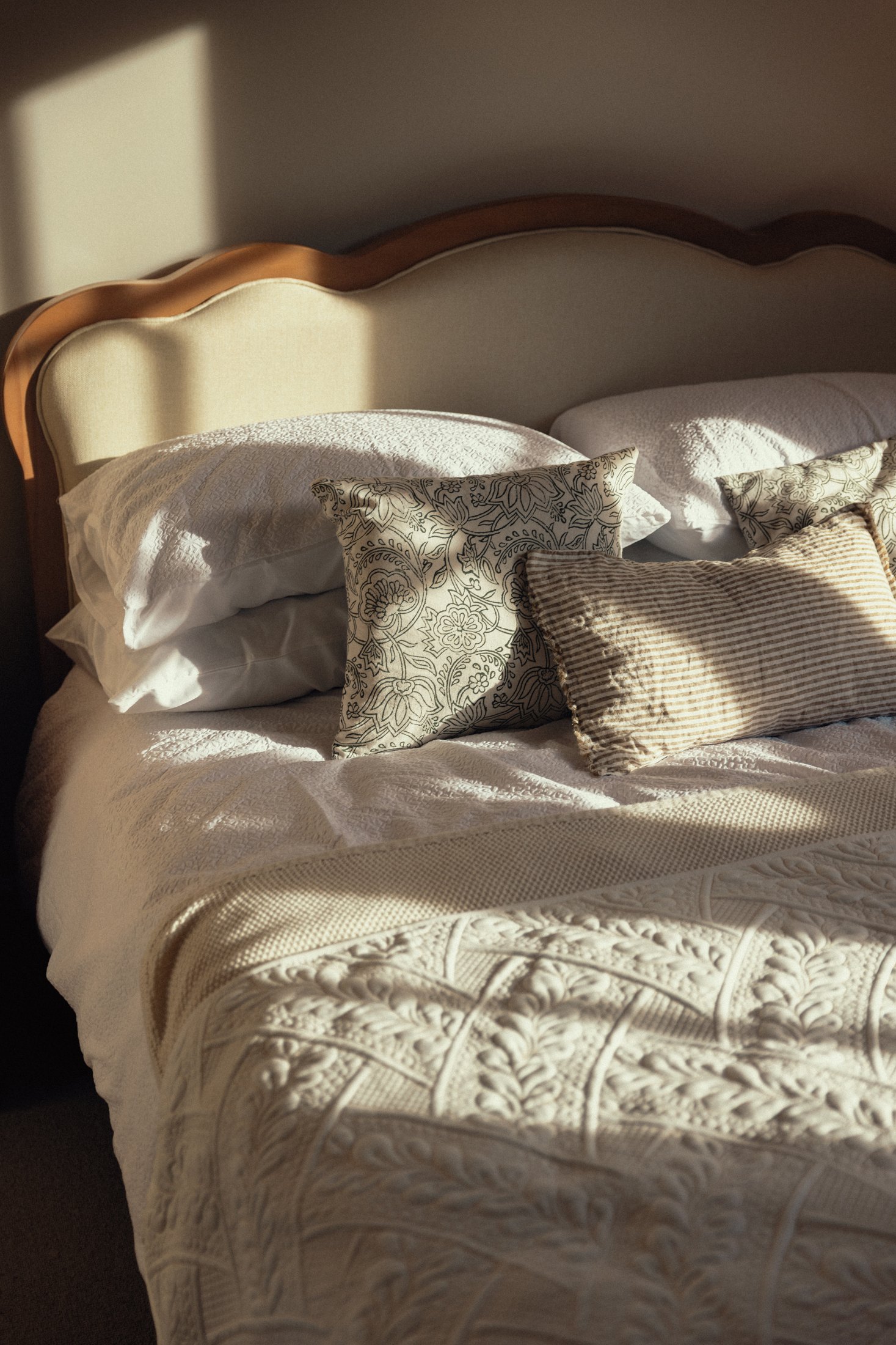 Soft textures in the afternoon light.